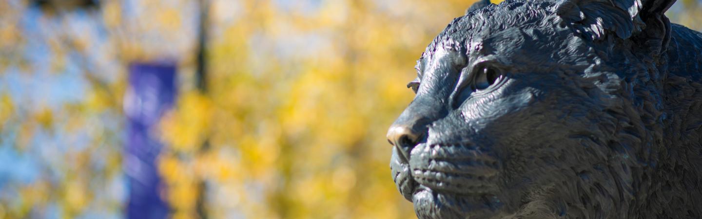 wildcat statue