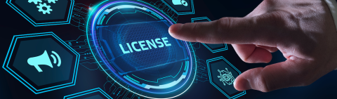 an image of the word license